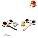 MY PET BIRD 圓籠寵物鳥食盒推薦｜綠繡眼和小鸚鵡專用款式 W353