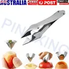 Pineapple Eye Peeler Clip Kitchen Stainless Steel Fruit Peeler Seed Remover Tool