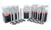 1999-2002 Daewoo Lanos 1598 1.6L DOHC L4 16V Ecotec -8 INTAKE & 8 EXHAUST VALVES