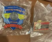 Vtg Pin Goldwing Road Riders Ass GWRRA Club Chapter Member motorcycle wing lot 2