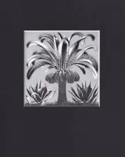 8X10 Matted Print Art Picture by MC Escher: Palm (Tree)