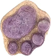 Mlllokfki Temptation Cat Treats, Cat Treats - Cat Paw Biscuits Cat Treat, Dry Treats for Cats, Healthy Treats for Kittens, Kitten Treats,