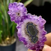 21G Natural high-quality Amethyst agate quartz cluster slice crystal mineral