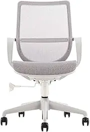 Stable Lift Back Office Chair with Silent Pulley，Ergonomic Breathable Mesh Fabric Computer Chair with Nylon Five-Star Feet Mobile