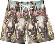 [RPLIFE] Boys Short Swim Trunks, Anti Chafe Swim Trunks for Boys 2 T, Cute Donkeys Laughing