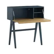 Modern Furniture VALEN Study Desk 96cm - Blue Space & Oak