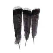 10-12 inches Natural Turkey Feathers Crafts hat DIY #4/10pcs(10-12 inch)