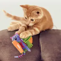 在飛比找蝦皮購物優惠-KONG ‧ CAT Active Toys 二合一捲餅貓玩