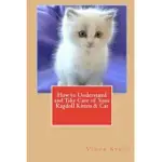 HOW TO UNDERSTAND AND TAKE CARE OF YOUR RAGDOLL KITTEN & CAT