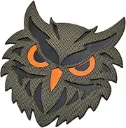 [LEGEEON] Owl Tactical Night Hunter Lasercut Patch Morale [Ranger Green]