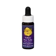 Fes Flower Essences FES Quintessentials Yellow Star Tulip 7.5ml