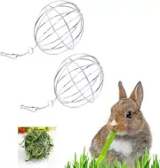 2 PCS Rabbit Grass Ball Guinea Pig Feed Dispenser Hook Stainless Steel Feeder Ca