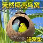 椰子殼鳥窩虎皮牡丹玄風文鳥鸚鵡鳥巢寵物保暖草編窩小鳥玩具用品COCONUT SHELL BIRD'S NEST, TIG