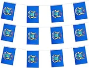 GentleGirl American USA Michigan Flags Banner String Small Mini US Michigan State Pennant Hangings Flag,U.S. States Party Outdoor Yard Decorative(100 Feet 76 Flag)