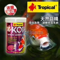 在飛比找Yahoo!奇摩拍賣優惠-【AC草影】免運!!!Tropical 德比克 金魚錦鯉免疫