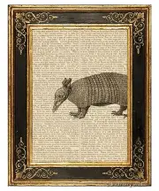 Nine Banded Armadillo Art Print on Vintage Book Page Home Office Decor Gifts