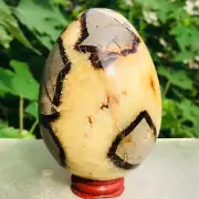 840g Natural Septarian Dragon Stone Quartz Crystal Geode Egg Specimen Healing