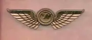 NORTHWEST AIRLINES GOLD KIDDIE PILOT JUNIOR WINGS Pin