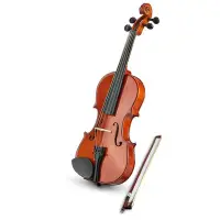 在飛比找Yahoo!奇摩拍賣優惠-【華邑樂器10004-3】1/2小提琴 (虎紋 贈小提琴圓弓