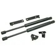 New Set Front Bonnet Damper Absorber Strut For Mitsubishi Triton ML MN 2005-2014