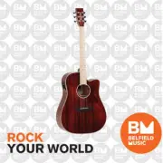 Tanglewood Winterleaf Blonde Acoustic Guitar Dreadnought Barossa Gloss w/ Pickup