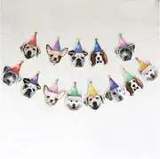 Bunting Flags Dog Birthday Party Decor Bunting Garland Pet Dog Cat Party Supplies Cute Dog for Dinner Party Bunting (Size : Dog Banner C)