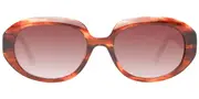 Ted Baker TB1689 104 Men's Sunglasses Brown Size 54