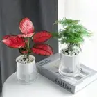 White Lazy Flowerpot Imitation Glass Box Planter Creative Flower Pot