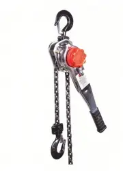 Dayton 29XP39 Hook Mounted 10 ft Lever Chain Hoist 3,000 lb Capacity No Trolley