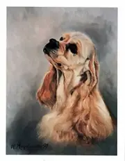 Buff Cocker Spaniel Head Study 12 Blank Note Cards Great For Birthdays Thank You