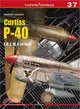 Curtiss P-40 ─ F, K, L, M, N Models