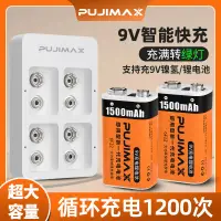 在飛比找蝦皮購物優惠-9V電池 PUJIMAX四槽智能快充9v電池充電器鋰電池15