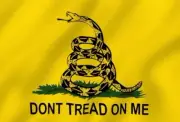 Gadsden Flag Yellow Double Sided Don't Tread on Me Flag 3' x 5' & Lapel Pin New