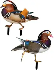 Kisangel 2pcs Acrylic Garden Stake Ornament Double Sided Lawn Decoration for Outdoor Spaces Vibrant Garden Decor for Backyards and Patios Durable and Eye Catching