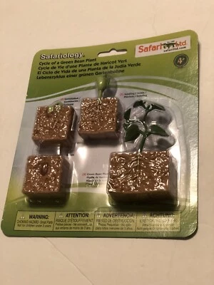 Safari Ltd Toy Life Cycle Of A Green Bean Plant, Educational Toys Safariology