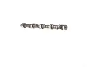 Melling 97RZ16J Camshaft Fits 1967-1977, 1979-1981 Pontiac Firebird
