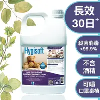 在飛比找momo購物網優惠-【芬蘭Hygisoft科威】多用途表面殺菌消毒噴霧 4L(防