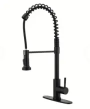 Black Pull Down Kitchen Faucet