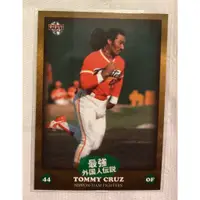 在飛比找蝦皮購物優惠-2023 亞運 ，教練 克魯茲 Tommy Cruz 日本職