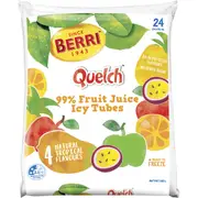 Berri Quelch Fruit Sticks Ice Blocks 70mL x 24 pack