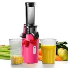 Ginnie Mini Cold Press Juicer, Small Slow Masticating Juicer for Vegetables a...