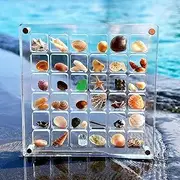 OMIPAWZ Acrylic Magnetic Seashell Display Box, Clear Acrylic Magnet Seashell Storage Organisers Case for Home Decorative (36 grids)
