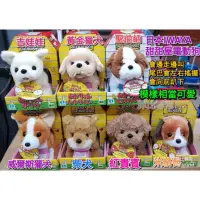 在飛比找蝦皮購物優惠-【現貨限量】日本IWAYA 正版甜甜屋寵物狗 貓熊 可愛電子