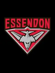 Sperling Official AFL ESSENDON Bombers Car Number Plate Frame Surround