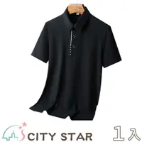 在飛比找PChome24h購物優惠-【CITY STAR】商務紳士高彈性免燙冰絲POLO衫8色L