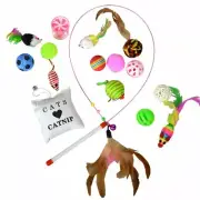 Downtown Pet Supply Value Cat Toys Variety Bundle Set W/ Feather Wand 16 Pc [B7]