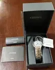 CITIZEN Eco-Drive Watch EM0093-59A Luxury Quartz Collector Edition