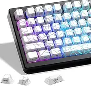 HITIME x XVX Shine Through Keycaps w/IMD Tech, Custom Spider Web Keycaps 60 75 100 Percent, White Key Cap Set Lines Backlit, OEM Profile Side Printed for Keyboards