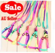 Wholesale 10PCS Pet Small Dog Puppy Cat Kitten Nylon Harness Collar Leash Lead