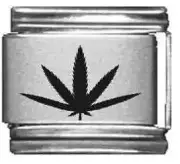 Clearly Charming Herb Leaf Laser Italian Charm